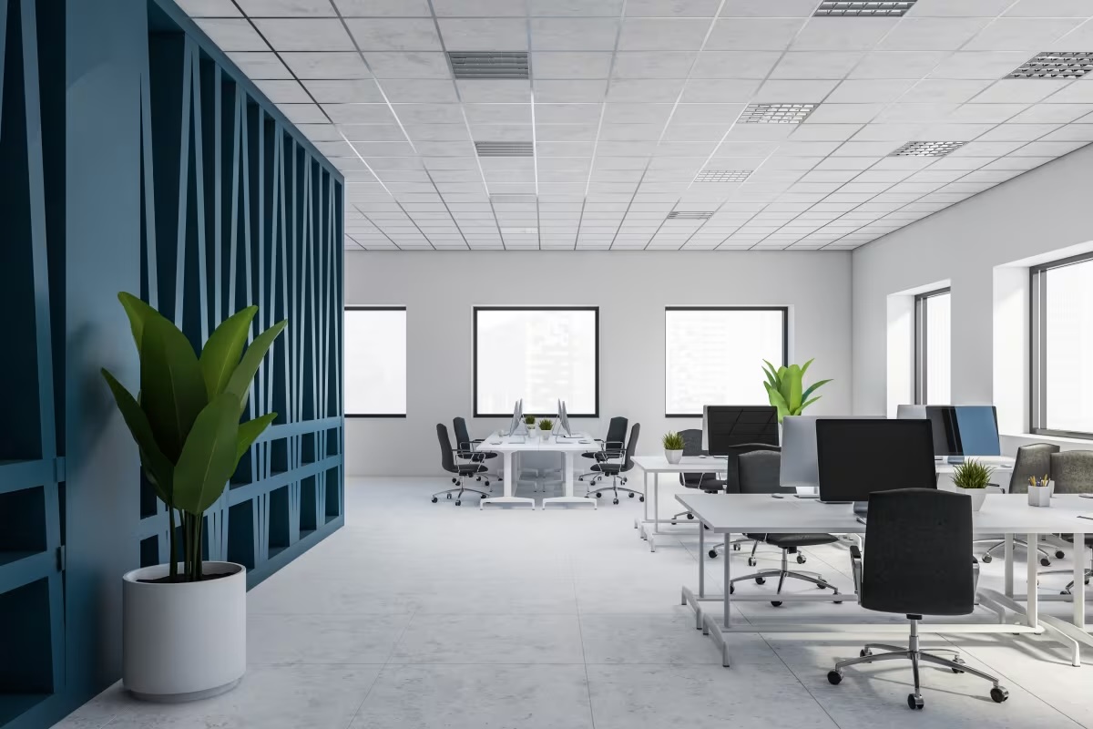 Trellis Connect case study